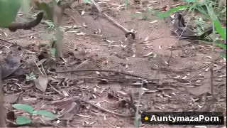 Odia Dehati Aunty Auntymaza Porn